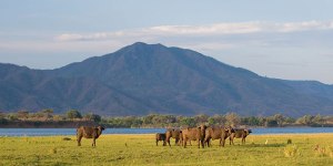 Lower Zambezi National Park